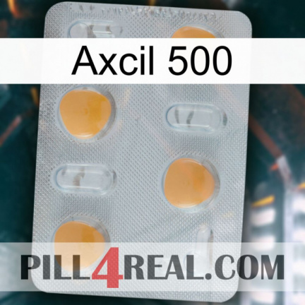 Axcil 500 24